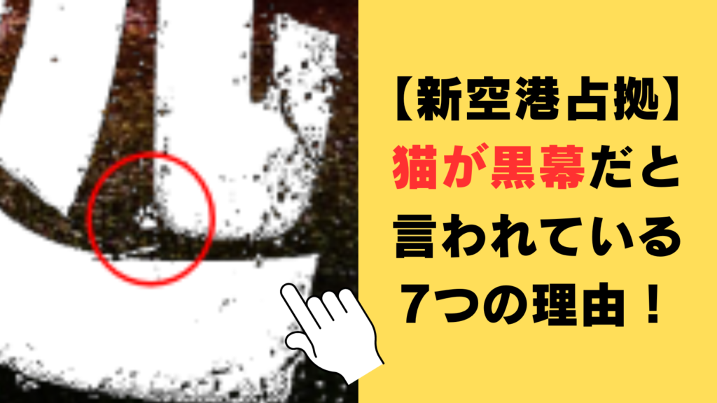 【新空港占拠】猫が黒幕だと言われている7つの理由！有力候補5人を徹底調査！